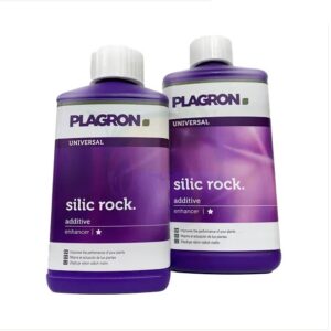 Plagron Silic Rock